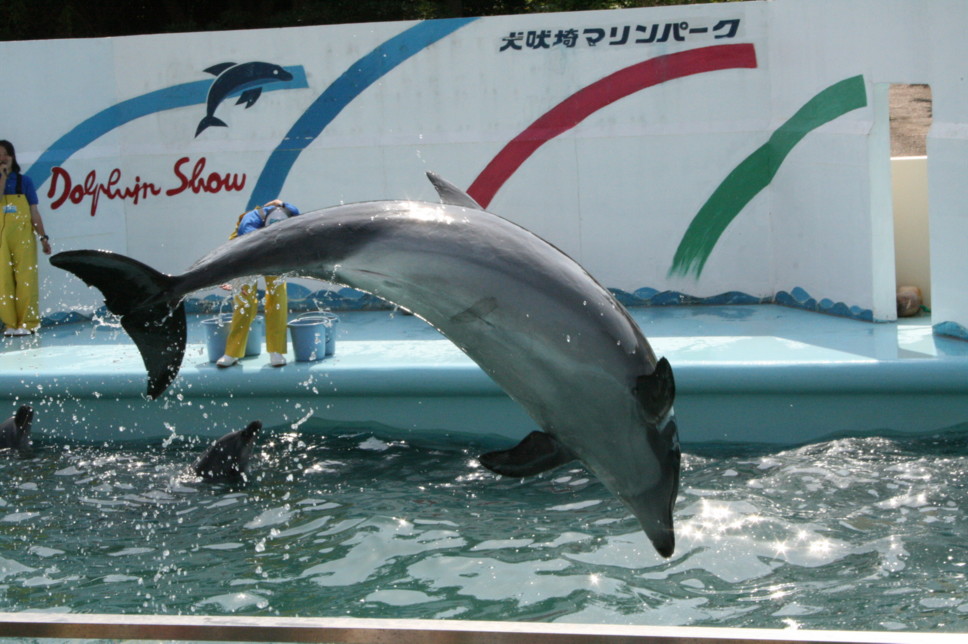 d0070702_21571838.jpg