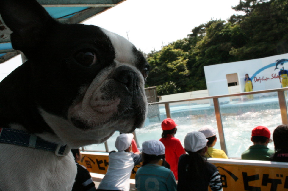 d0070702_21573479.jpg
