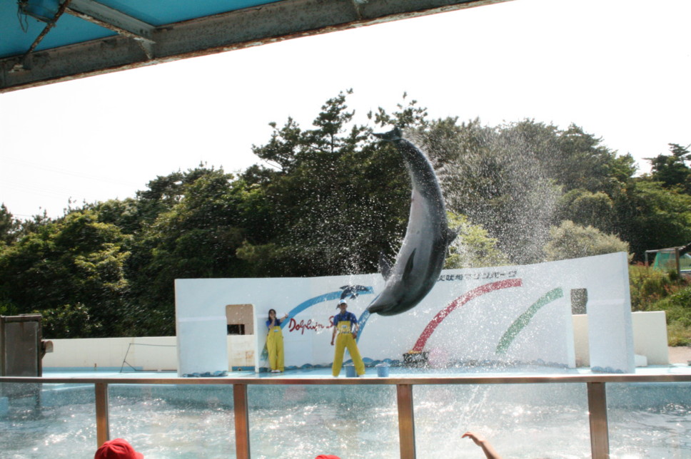d0070702_2157549.jpg