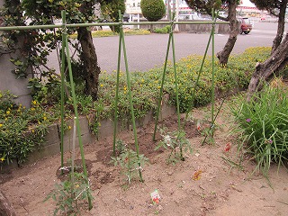 c0076204_1724325.jpg