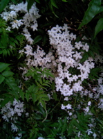 d0023704_20571164.jpg