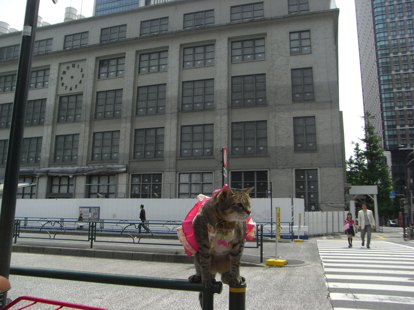 e0031605_21211367.jpg