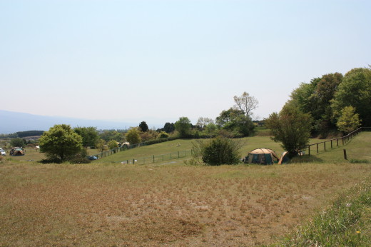 a0007906_1156378.jpg
