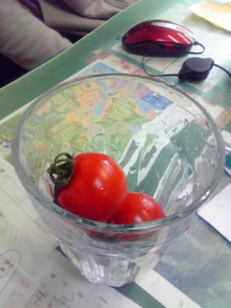 c0092408_1782799.jpg