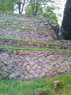 a0048609_147277.jpg