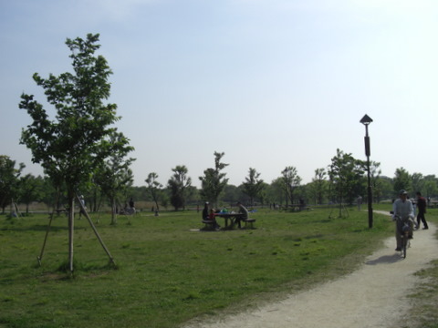 f0169509_13402019.jpg