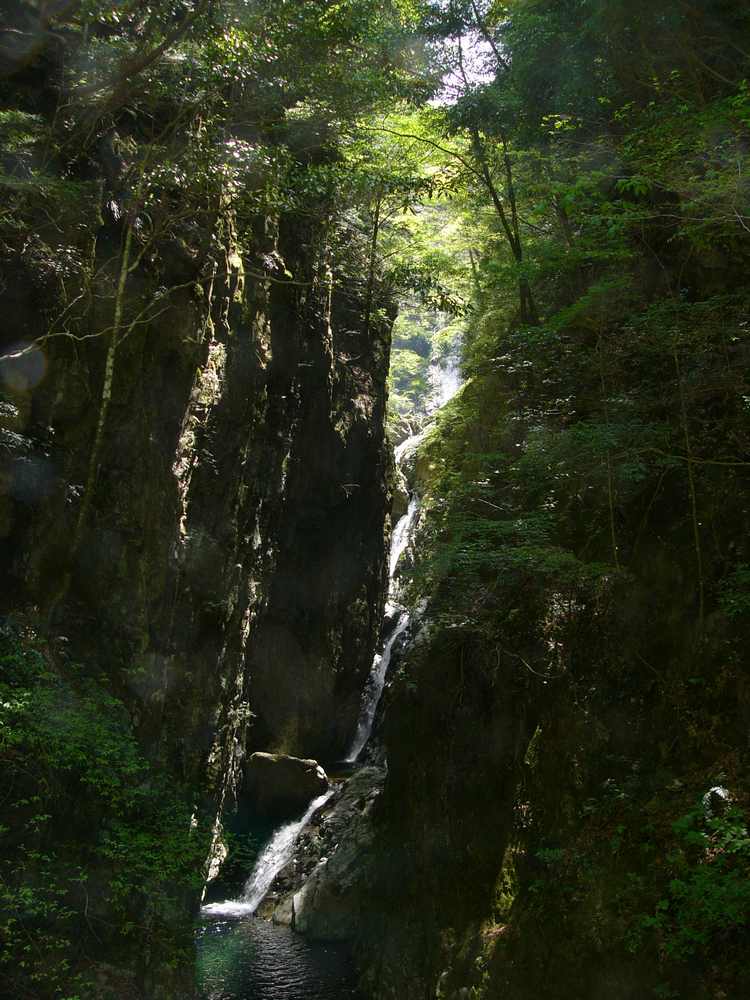 c0062511_2231782.jpg