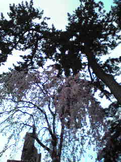 a0112812_022155.jpg