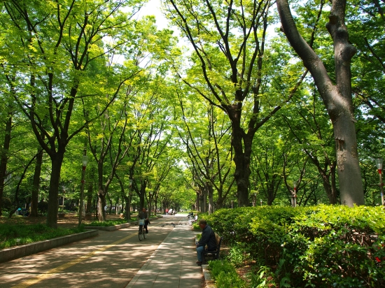 c0136217_917588.jpg