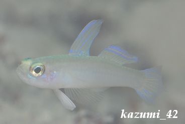 b0164920_2348795.jpg
