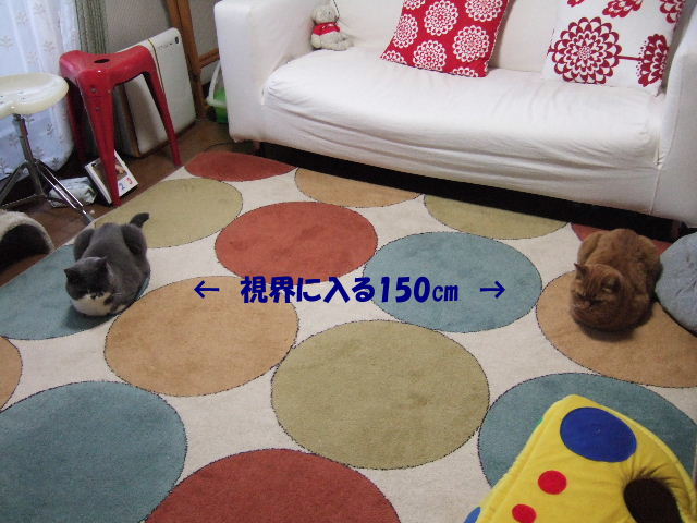f0032020_19444327.jpg