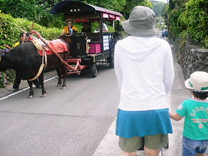 f0198620_1739854.jpg
