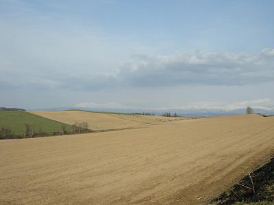 b0132522_2353179.jpg