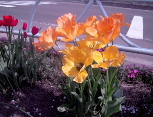 d0068023_0142165.jpg