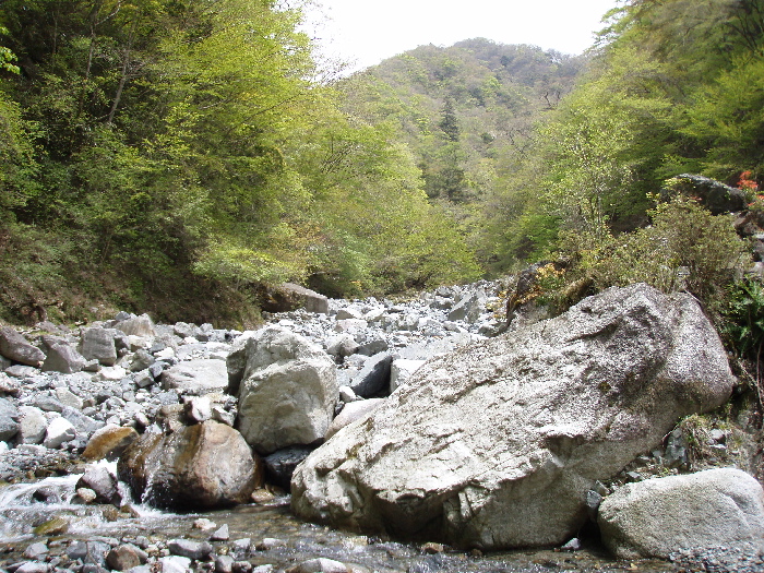f0103126_18394545.jpg