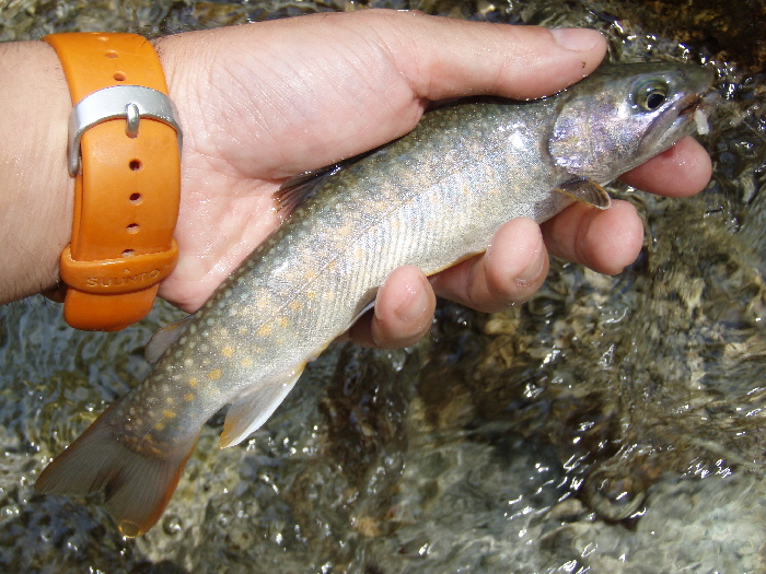 f0103126_18401874.jpg