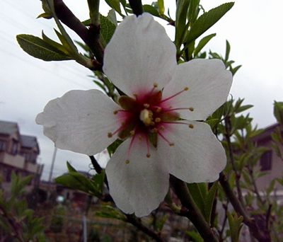 c0104227_17204168.jpg