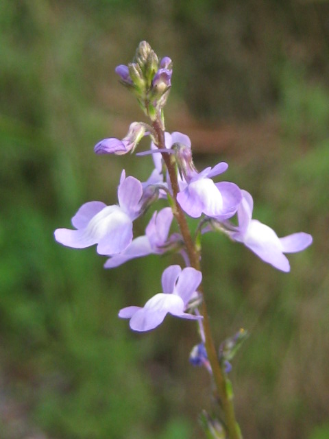 d0147727_10372516.jpg