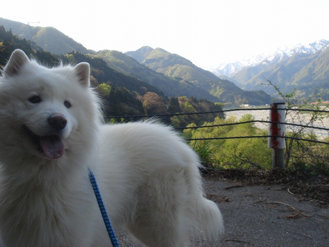 d0059028_0113428.jpg