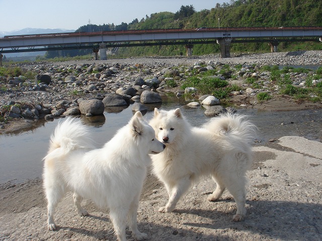 d0059028_013627.jpg