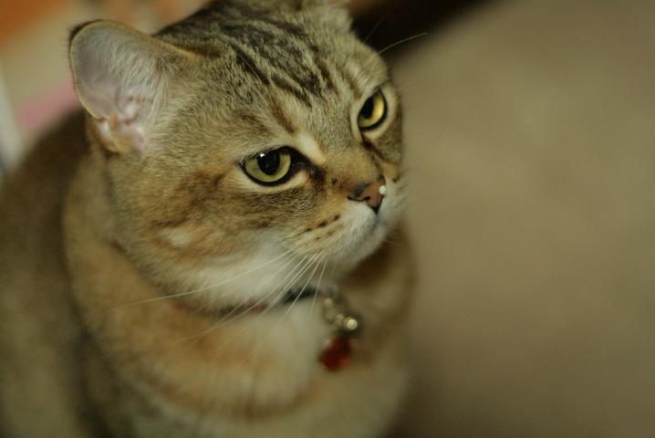 f0055228_17532651.jpg