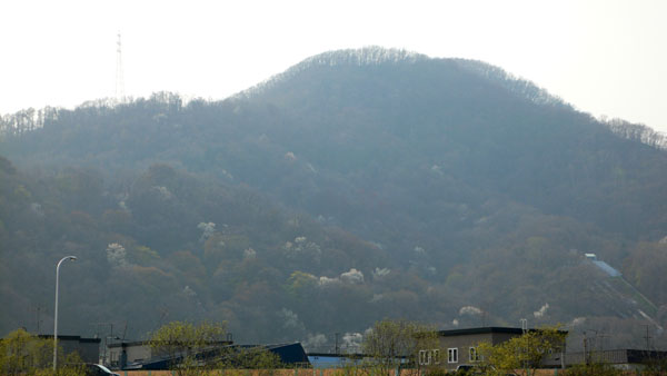 a0046429_10422765.jpg