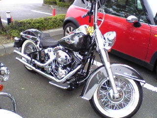 a0099129_17584096.jpg