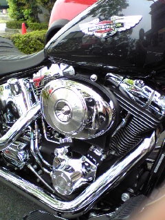 a0099129_175907.jpg