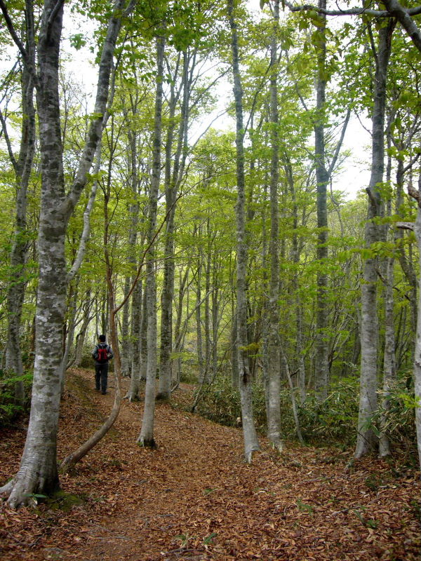 d0075131_23442520.jpg