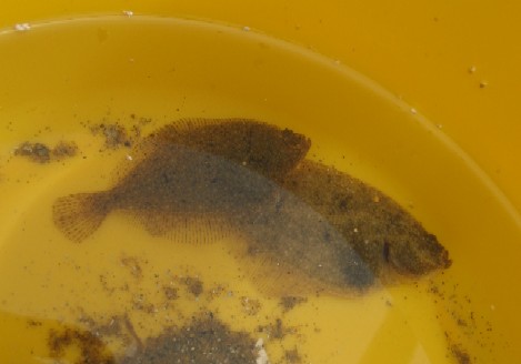 f0051638_21465264.jpg