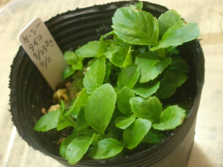 c0025140_19444434.jpg