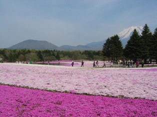 a0094449_19553685.jpg
