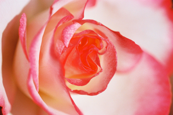 f0176353_1836161.jpg