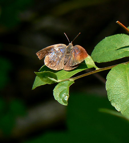 d0091754_1484165.jpg
