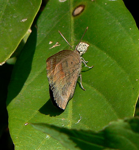 d0091754_148813.jpg