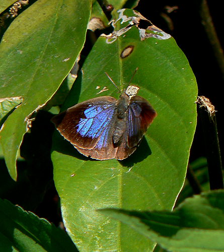 d0091754_23391.jpg