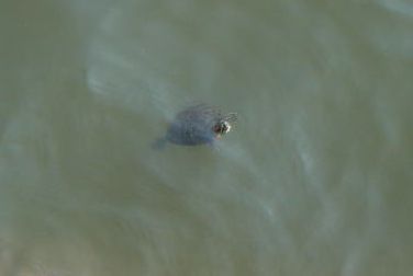 e0083155_1825520.jpg
