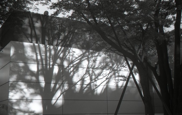 f0206356_2235676.jpg