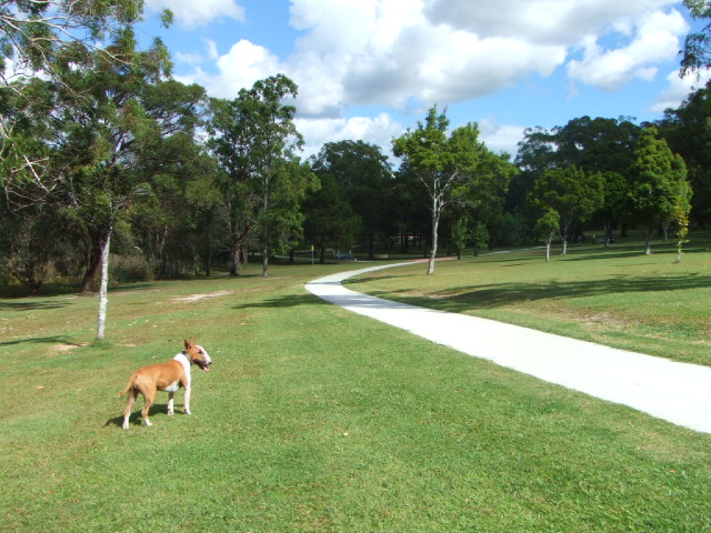 e0171460_13102233.jpg