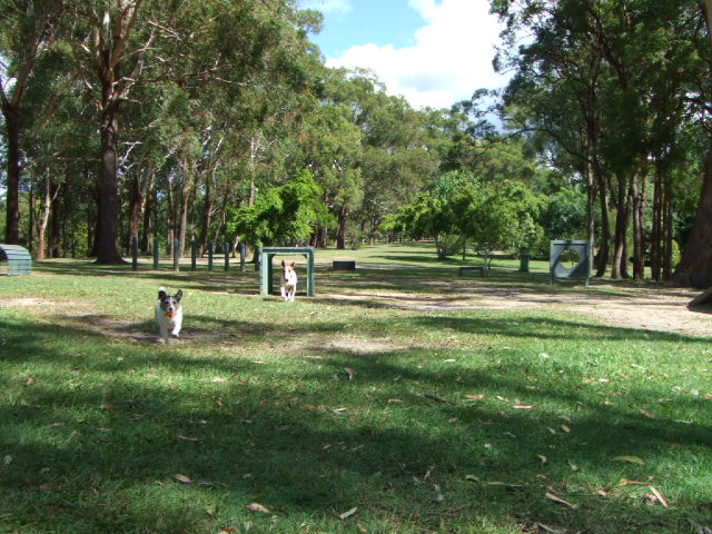 e0171460_1335866.jpg