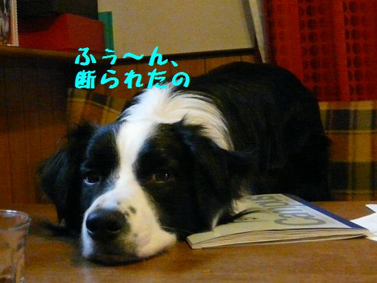 a0100564_23194218.jpg