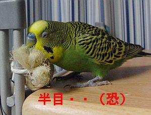 f0196665_0504643.jpg