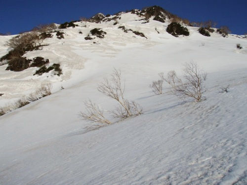 b0050067_2139083.jpg