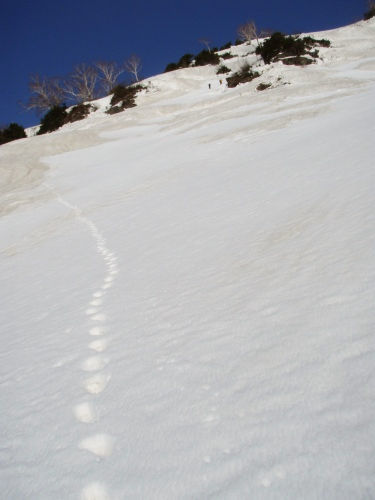 b0050067_21401966.jpg