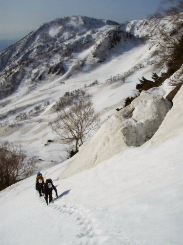 b0050067_21421340.jpg