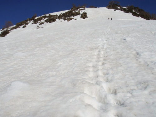 b0050067_21432453.jpg