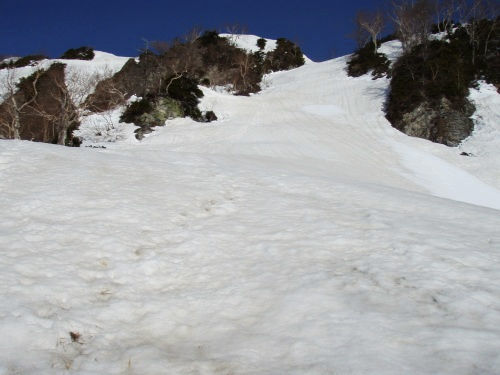 b0050067_21484674.jpg