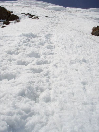 b0050067_22393341.jpg