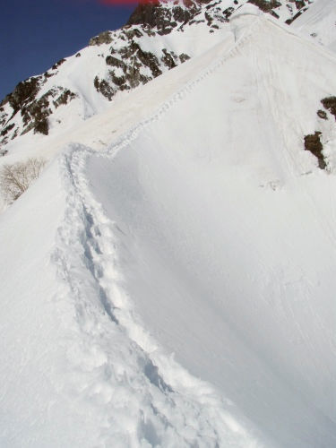 b0050067_2241676.jpg