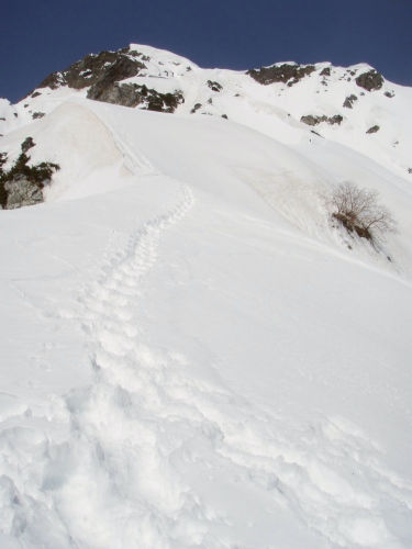 b0050067_2255263.jpg